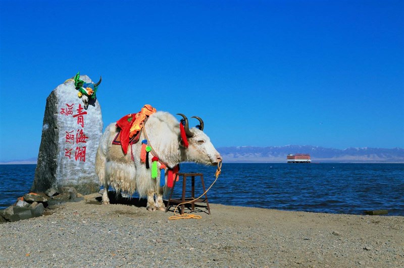 西宁青海湖,青藏铁路,拉萨布达拉宫,藏族家访,林芝尼洋