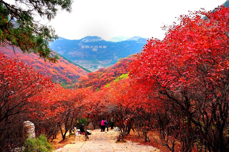 区【石门坊风景区】(门票已含,3小时),又名石门山,位于临朐城西二十多