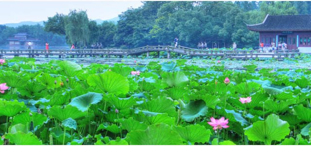 西湖风景区