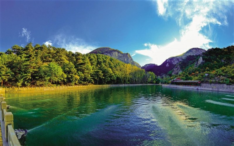 龙泉荣耀:国家森林公园,国家aaaa景区,省级风景名胜区,中国唯一的崖